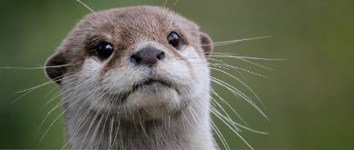 Inview February 2022